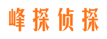 武宁市私家侦探